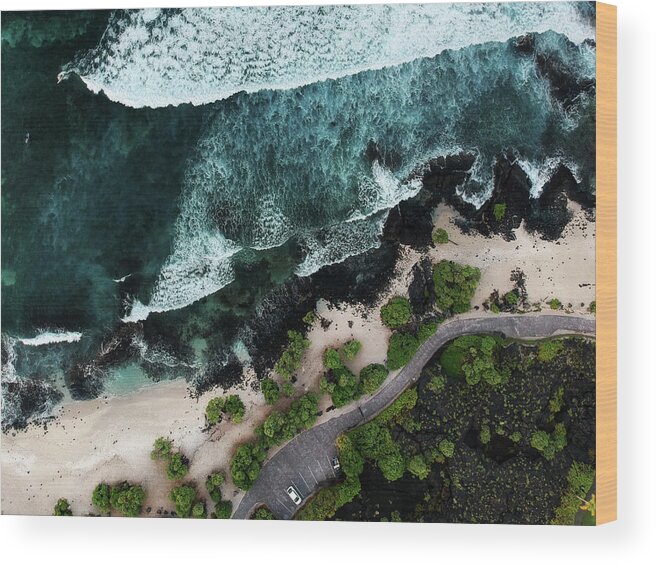 Aerial Wood Print featuring the photograph Pine Trees Beach by Christopher Johnson