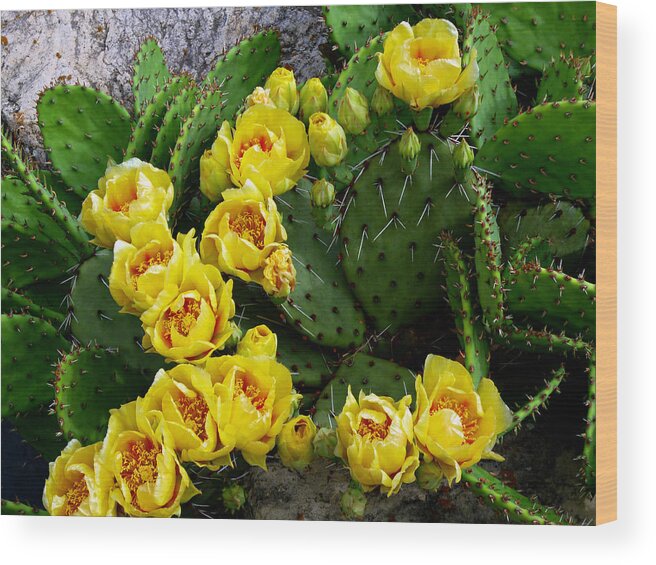 Prickly Pear Wood Print featuring the photograph Prickly Pear Against Stone by Mike McBrayer