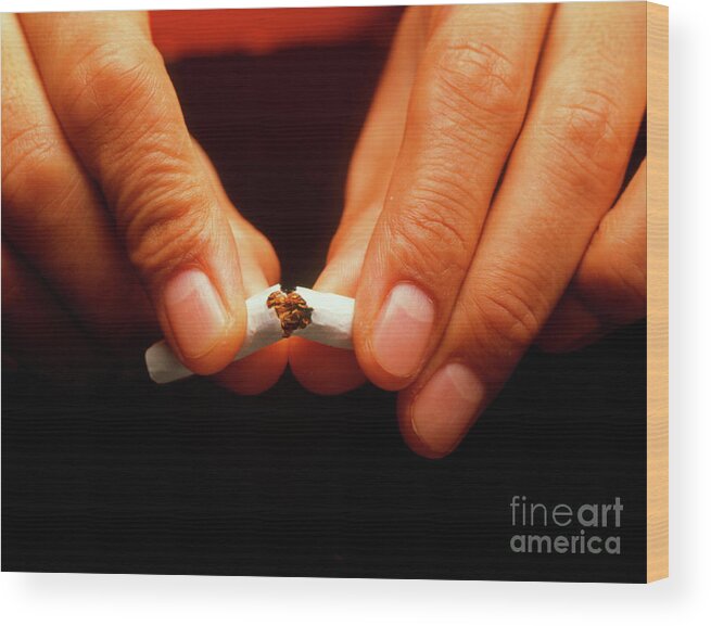 Smoking Wood Print featuring the photograph Quitting Smoking by Oscar Burriel/science Photo Library