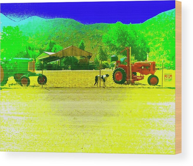 Farm Wood Print featuring the photograph Red Tractor for Sale by Debra Grace Addison