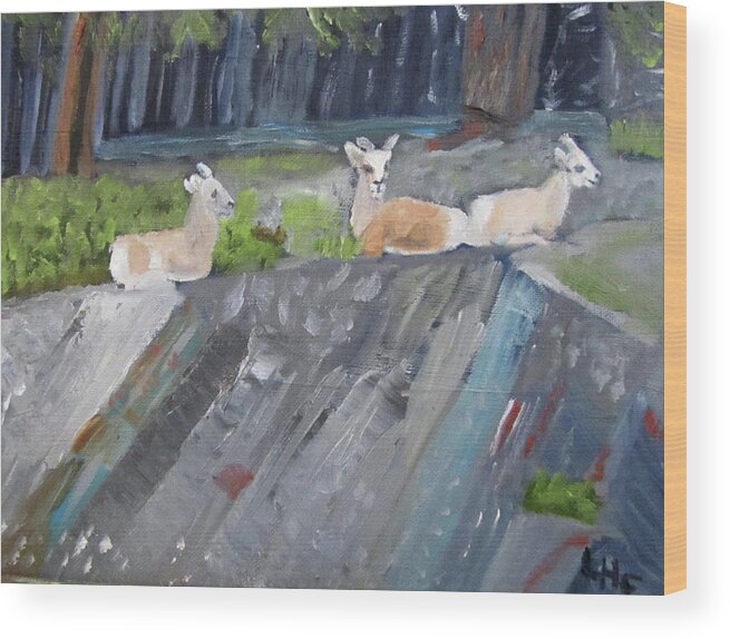 Mountain Sheep Wood Print featuring the painting Resting by Linda Feinberg