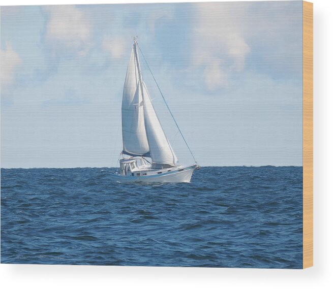 Sailboat Wood Print featuring the photograph Sally by Susan Hope Finley