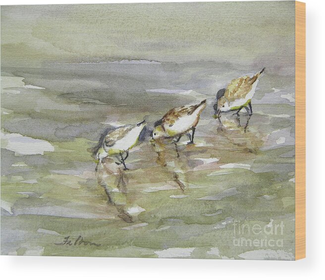 Original Watercolors Wood Print featuring the painting Sandpiper Trio by Julianne Felton