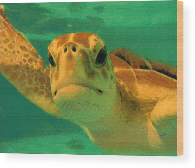 Waterscape Wood Print featuring the painting Sea Turtle off the Mexican Coast - DWP2086549 by Dean Wittle