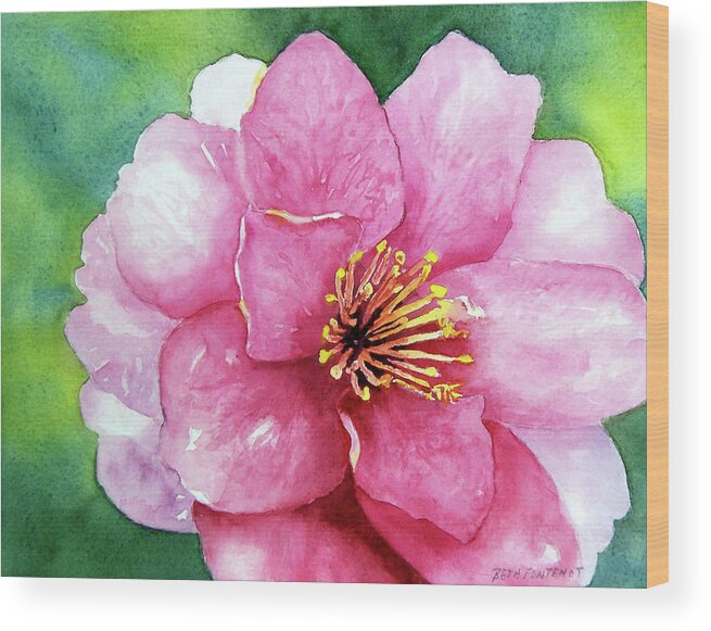 Flower Wood Print featuring the painting Shi Shi Sasanqua by Beth Fontenot