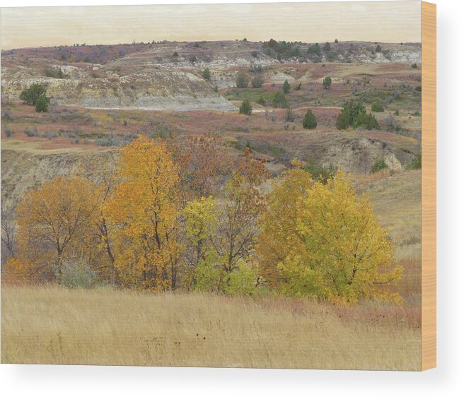 North Dakota Wood Print featuring the photograph Slope County September Splendor by Cris Fulton