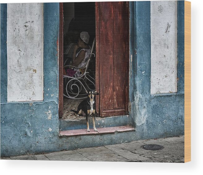 Dog Wood Print featuring the photograph Small Guard Dog by Pavol Stranak