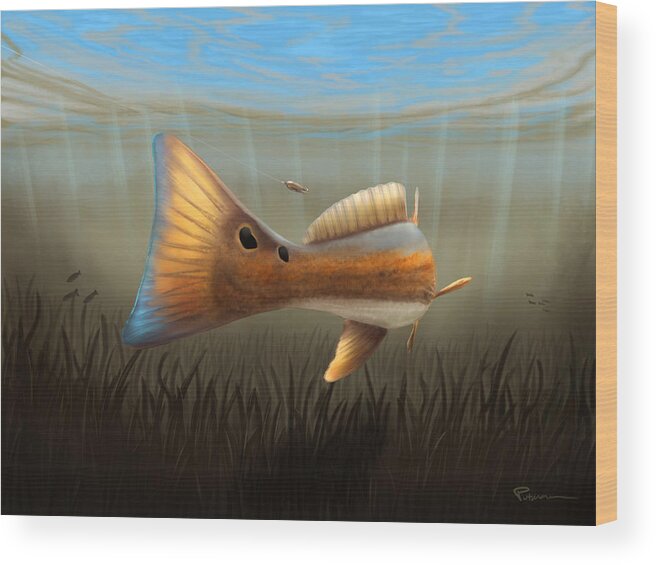 Redfish Wood Print featuring the digital art Spoon Fed by Kevin Putman