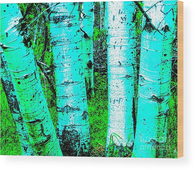 Aspens/trees/spring/simmer/blue/green/white/interior/forest/ Wood Print featuring the mixed media Spring Aspens by Jennifer Lake