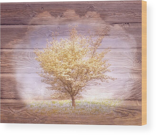Carolina Wood Print featuring the photograph Springtimes Dawn by Debra and Dave Vanderlaan