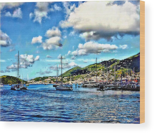 St Thomas Wood Print featuring the photograph St. Thomas VI - Boats in Harbor by Susan Savad