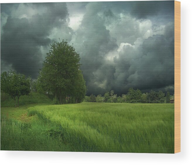 Tranquility Wood Print featuring the photograph Storm by Dima Lauzzana