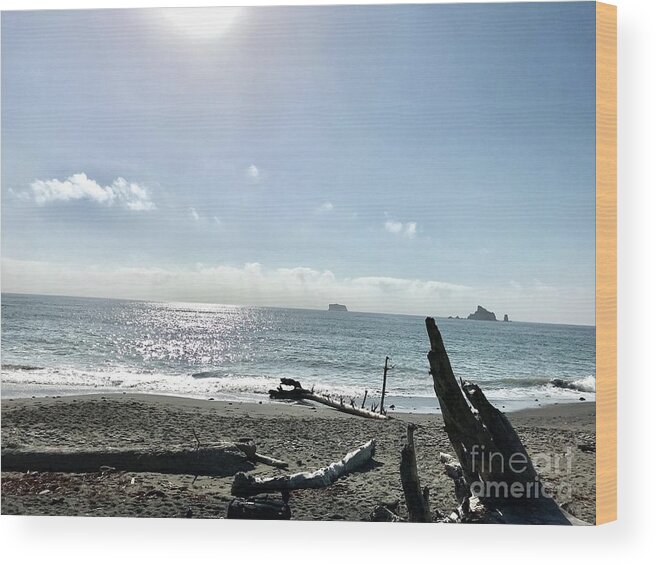 Beach Wood Print featuring the photograph sunny days at Rialto by LeLa Becker