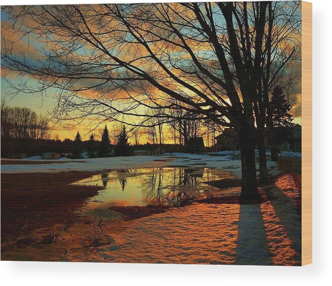 Landscape Wood Print featuring the photograph Sunset Shadows by Elaine Franklin