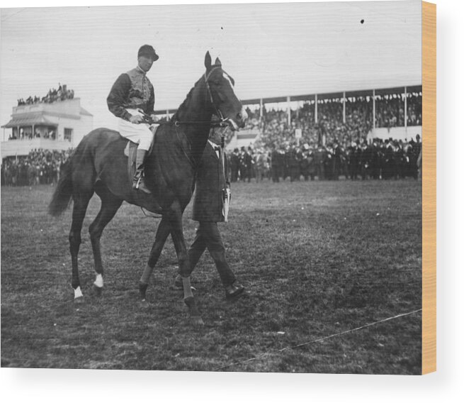 Horse Wood Print featuring the photograph The Kings Horse by Topical Press Agency