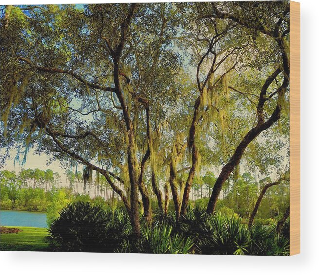 Nature Wood Print featuring the photograph The Lake Beyond by Alida M Haslett