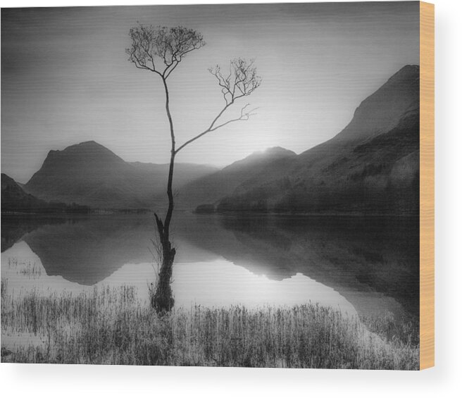 Trees Wood Print featuring the photograph The Lone Tree, Buttermere, English Lake by Gary Tyson