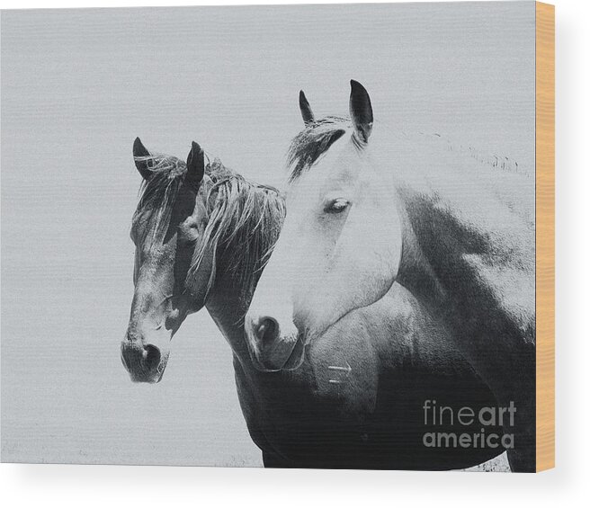 Horses Wood Print featuring the photograph Tranquil by Jody Miller