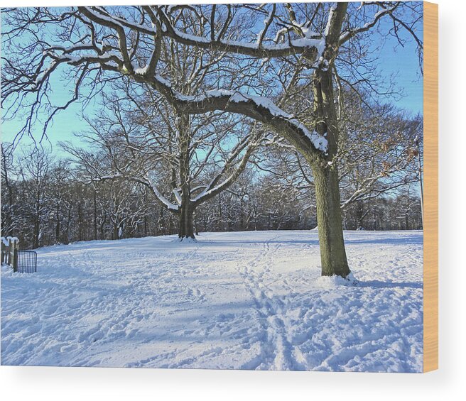 Snow Wood Print featuring the photograph Trees in The Snow by Lachlan Main