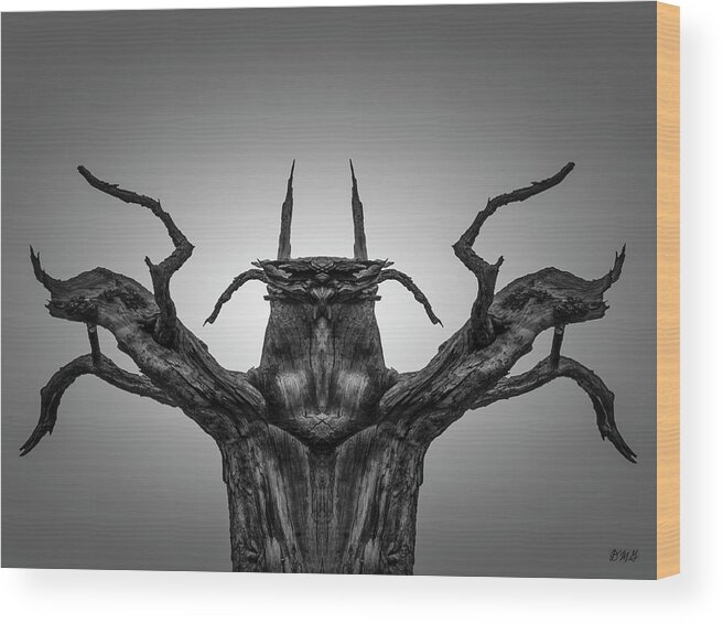 Brujo Wood Print featuring the photograph Untitled VII 2018 BW by David Gordon