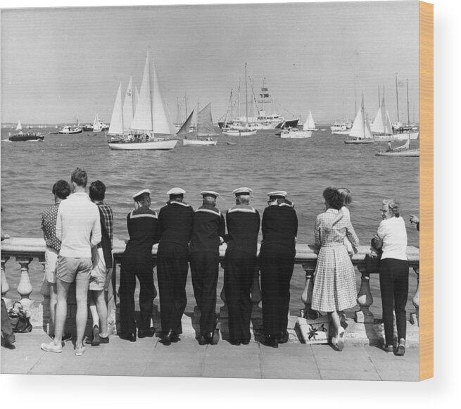 In A Row Wood Print featuring the photograph Watching Cowes by Fox Photos