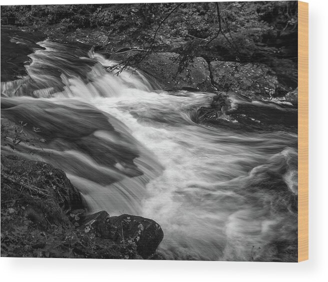 Black And White Wood Print featuring the photograph Waterfalls at Ricketts Glenn by Louis Dallara
