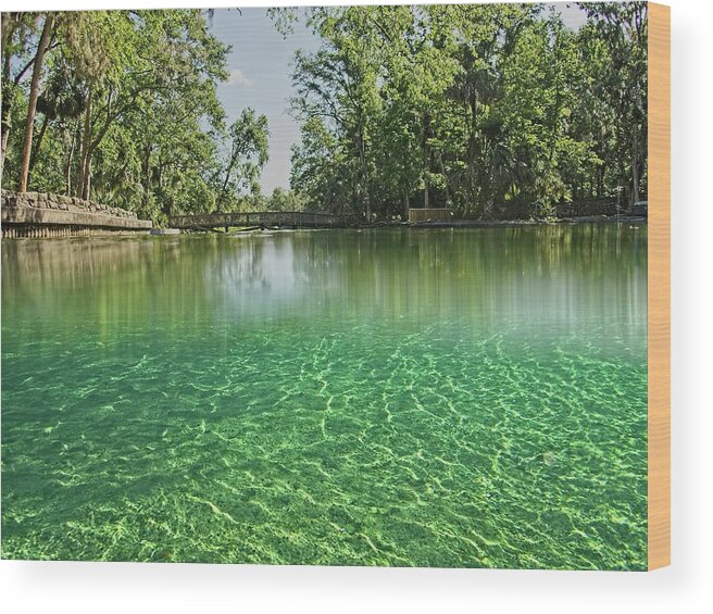 Wekiwa Springs Wood Print featuring the photograph Wekiwa Springs by Steve DaPonte