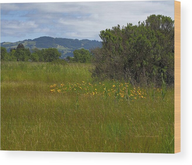 Landscape Wood Print featuring the photograph Wildflowers Grow Where Planted by Richard Thomas