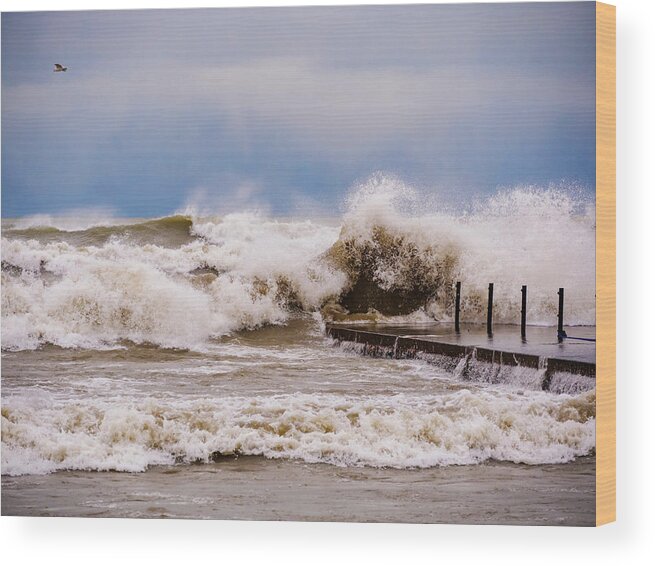 Great Lakes Wood Print featuring the photograph Witch of November by Todd Bannor
