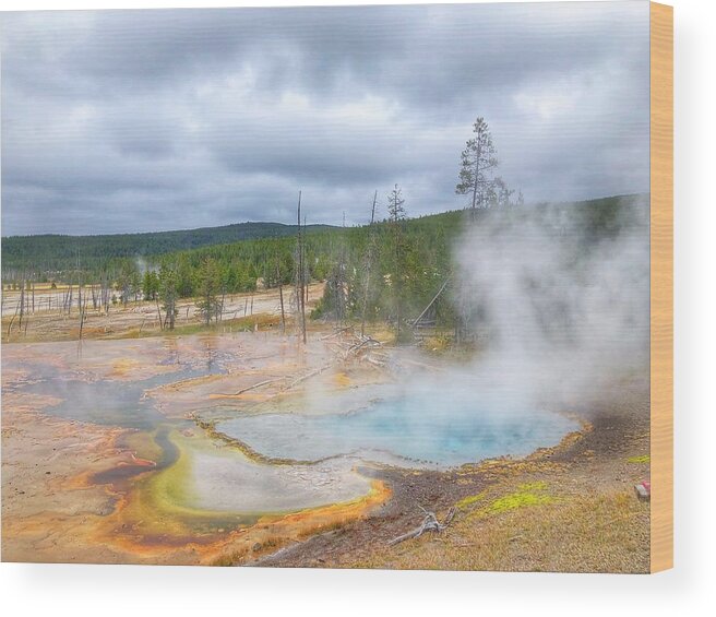 Nature Wood Print featuring the photograph Yellowstone Geyser by Bonnie Bruno