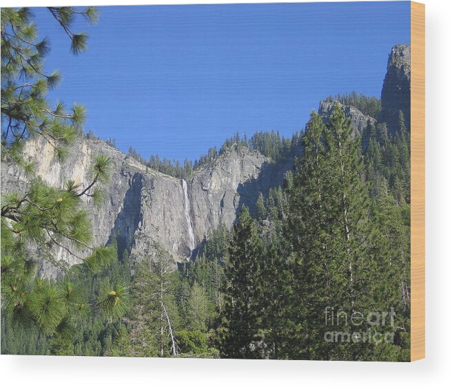 Yosemite Wood Print featuring the photograph Yosemite National Park Waterfall and Mountain Range with Trees in the Foreground by John Shiron