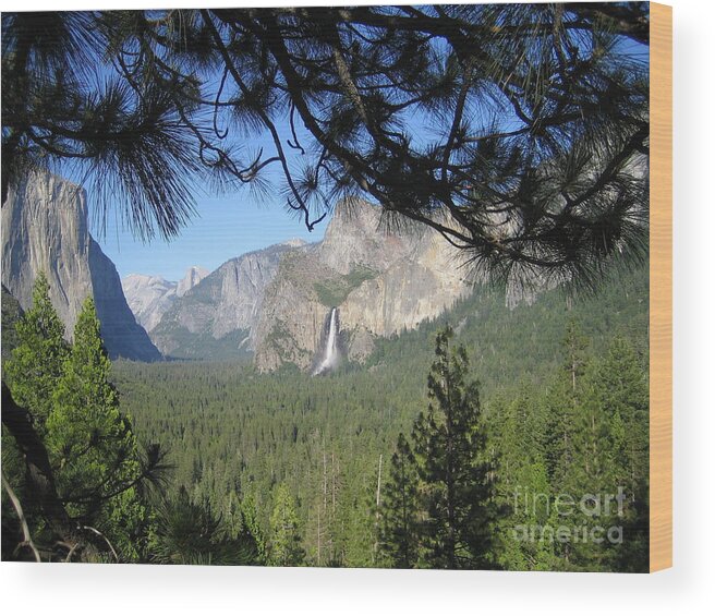 Yosemite Wood Print featuring the photograph Yosemite Valley Yosemite National Park Bridal Veil Falls El Capitan Half Dome A Panoramic View by John Shiron