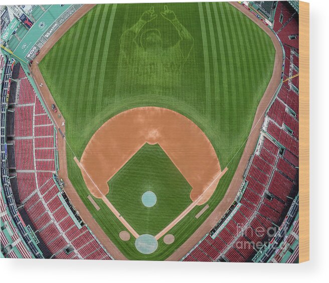 Grass Wood Print featuring the photograph David Ortiz by Billie Weiss/boston Red Sox