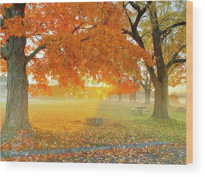  Wood Print featuring the photograph Fall #1 by John Gisis