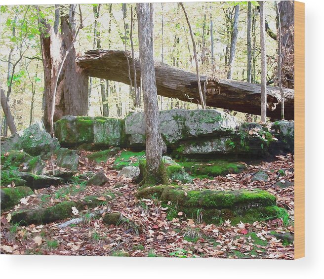 Trees Rocks Leaves Wood Print featuring the photograph Fallen Tree #1 by Stephanie Moore