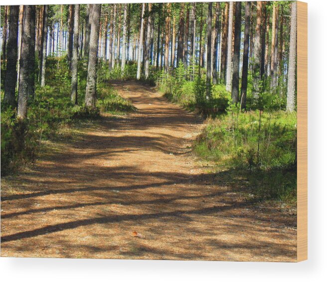 Summer Wood Print featuring the photograph Forest trail #1 by Pauli Hyvonen