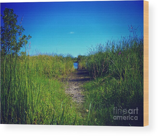 Wetlands Wood Print featuring the photograph Pathway to Prairie Lake by Frank J Casella