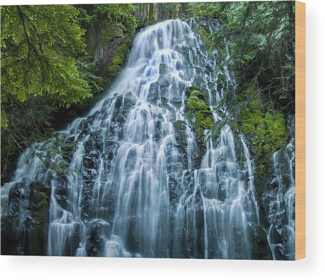 Landscape Wood Print featuring the photograph Ramona Falls Cascade #1 by Steven Clark
