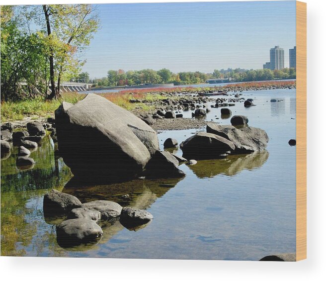 Rocks Wood Print featuring the photograph Rocks #2 by Stephanie Moore