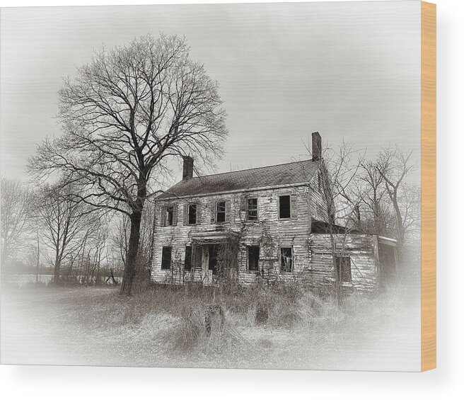  Farm Wood Print featuring the photograph Spook House by David Letts