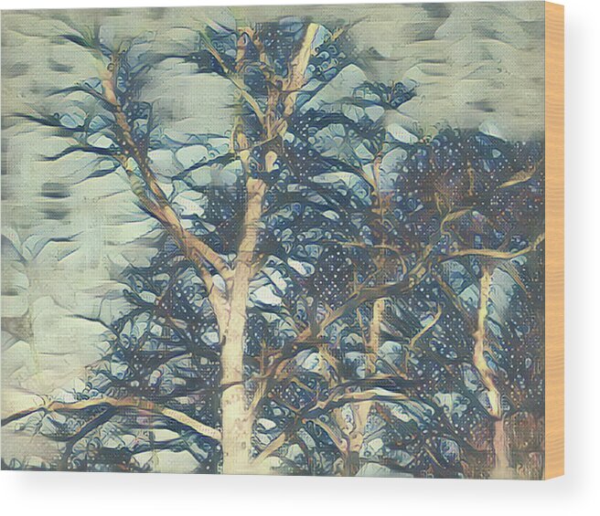 Sky Wood Print featuring the mixed media Winter Branches by Christopher Reed