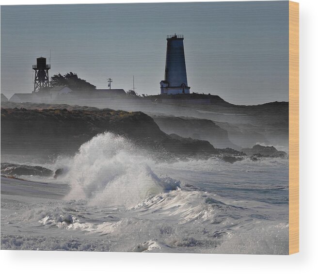 Lighthouse Wood Print featuring the photograph San Simeon #19 by Lars Mikkelsen