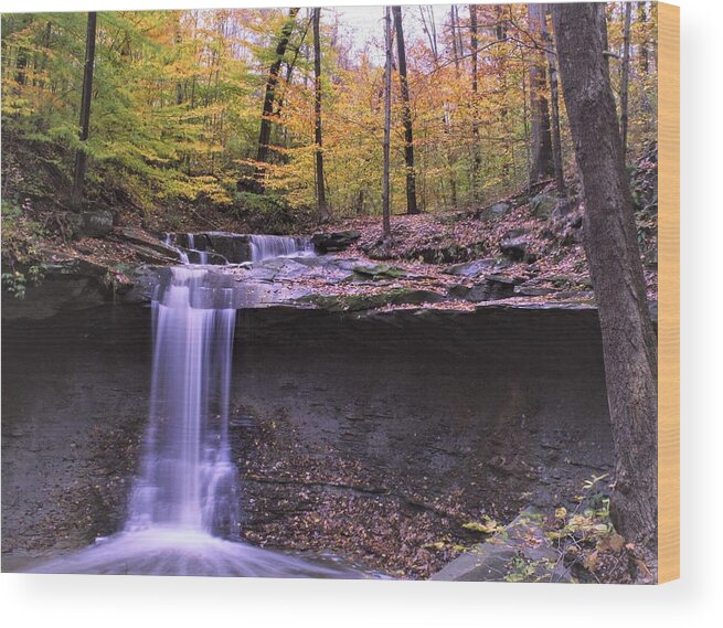  Wood Print featuring the photograph Blue Hen Falls by Brad Nellis