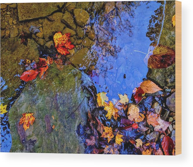  Wood Print featuring the photograph Fall Leaves by Brad Nellis
