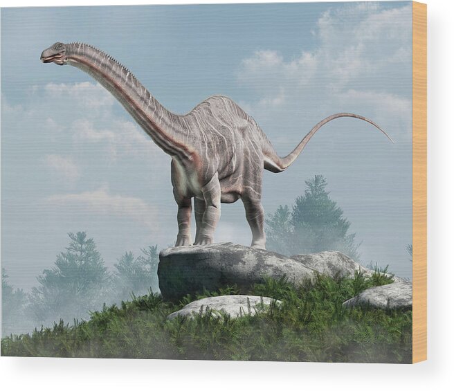Apatosaurus Wood Print featuring the digital art Apatosaurus #4 by Daniel Eskridge