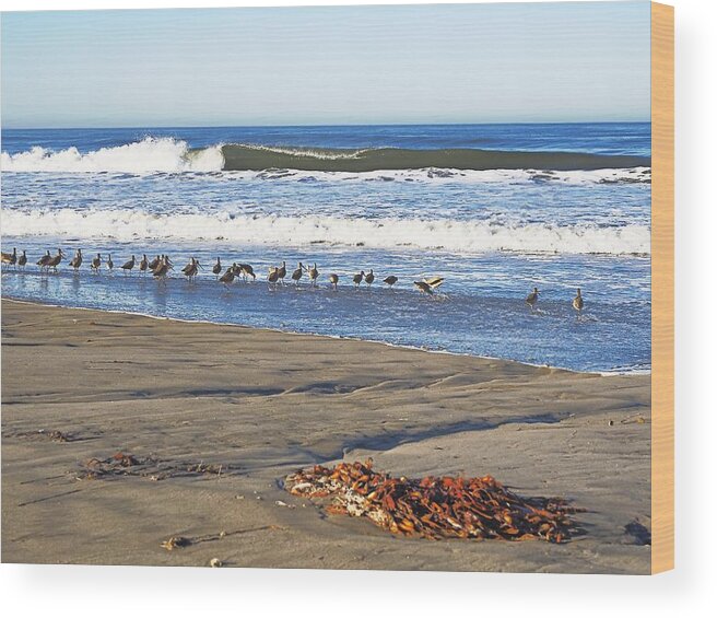 Seascape Wood Print featuring the photograph Pajaro Dunes Beach #4 by Richard Thomas