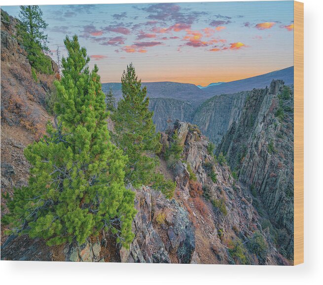 Tim Fitzharris Wood Print featuring the photograph Tomichi Point, Black Canyon of the Gunnison National Park, Colorado, USA #4 by Tim Fitzharris