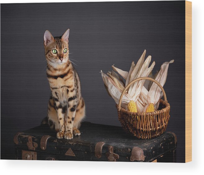 Bengal Wood Print featuring the photograph Bengal Cat Portrait #5 by Nailia Schwarz