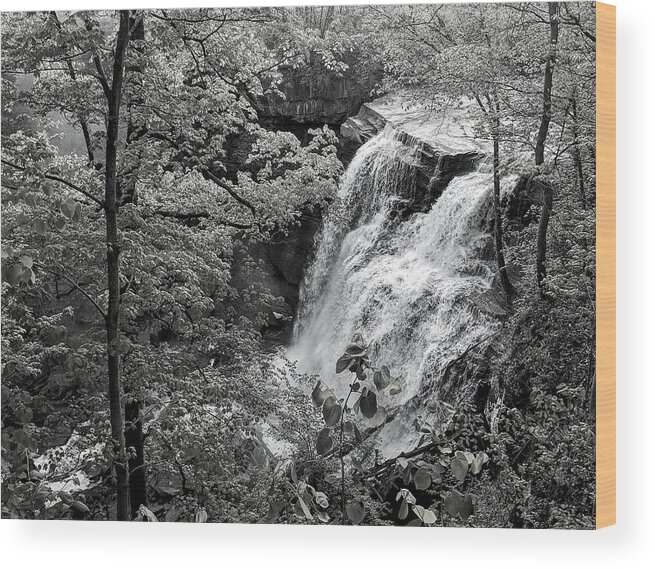  Wood Print featuring the photograph Brandywine Falls by Brad Nellis