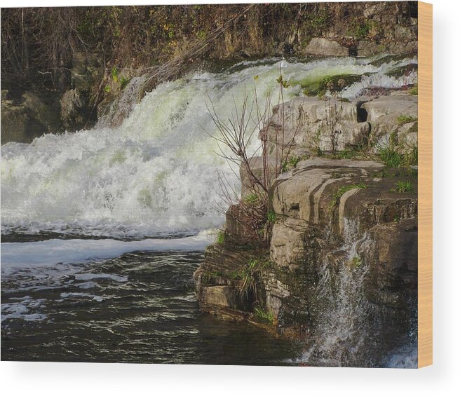Waterfall Wood Print featuring the photograph Waterfall #7 by Stephanie Moore